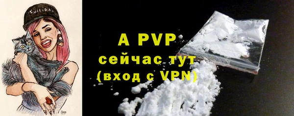 молекула духа Анжеро-Судженск