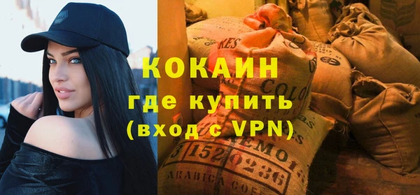 стаф Апатиты