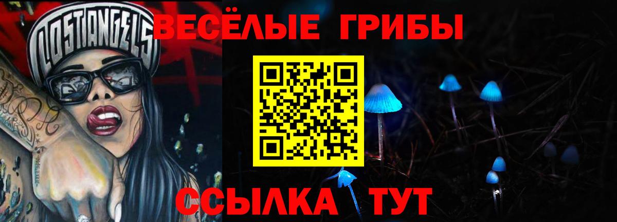 Галлюциногенные грибы Cubensis  где найти   Оренбург  Вход с VPN 